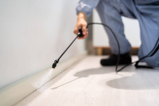 Licensed Termite Control service in Homerville, GA - Nex Pest Control
