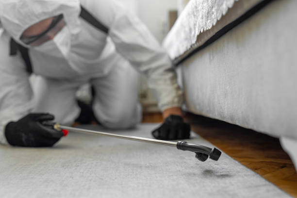 Professional Termite Control technician working in Homerville, GA