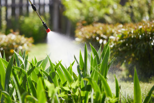 24/7 Emergency Termite Control experts in Homerville, GA