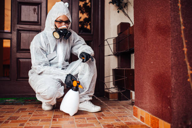 Reliable Termite Control contractor in Homerville, GA by Nex Pest Control