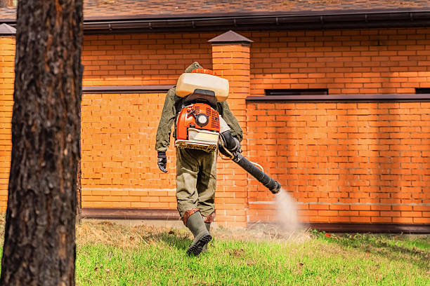 Top rated local Termite Control specialists in Homerville, GA